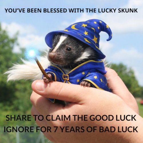 Photo post from njexoticpets.