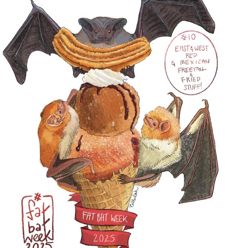 Photo post from yesthattallulah.