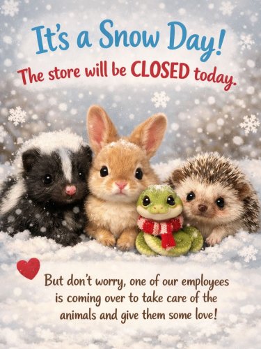 Photo post from njexoticpets.