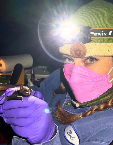 Carousel post from auntiebattie.