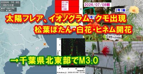 Photo post from nmomose.