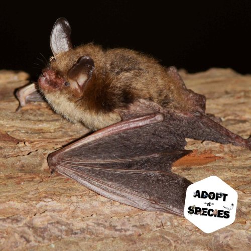 Photo post from natureserveorg.