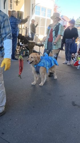 Photo post from theresortatportludlow.