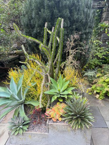 Photo post from gardenhousebrighton.