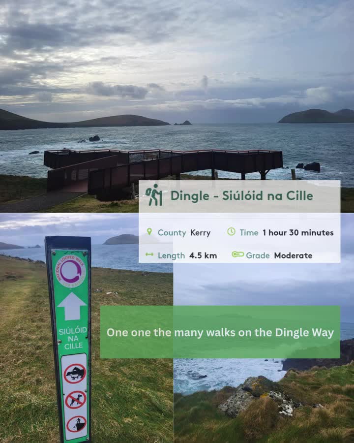 Video post from dinglepeninsulatourism.