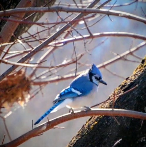 Photo post from thebeeandbee042608.