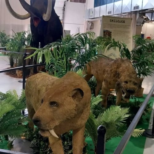 Carousel post from lemondemagiquedescristaux.