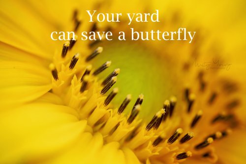 Photo post from mistyyoungphoto.