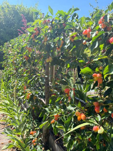Photo post from gardenhousebrighton.