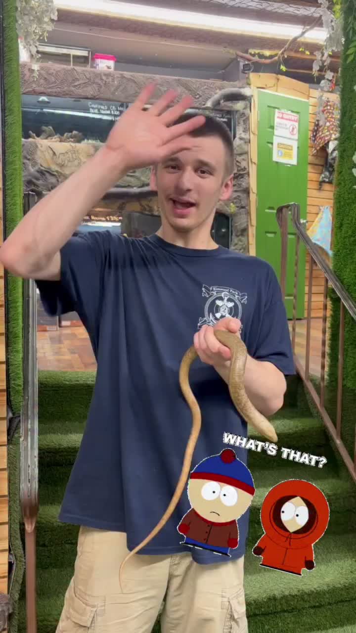 Video post from njexoticpets.