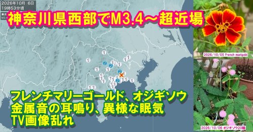 Photo post from nmomose.