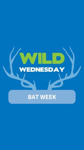 Video post from wildsafebc.