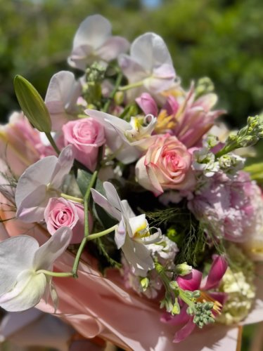 Calla Lily Plant in Augusta GA - Martina's Flowers and Gifts