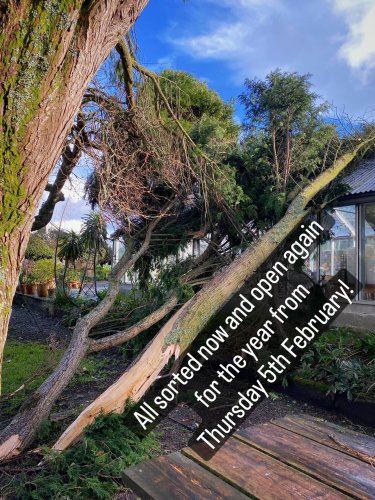 Photo post from potager_garden.