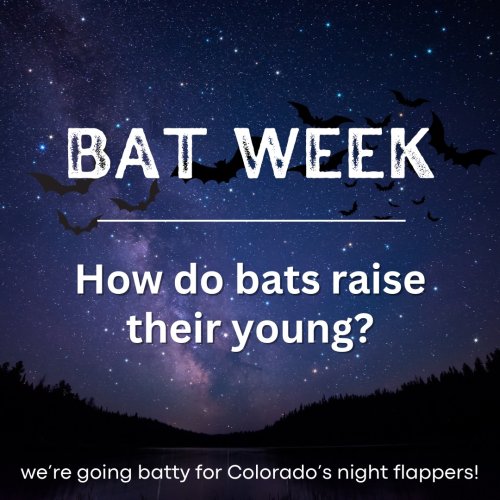 Photo post from jeffcoopenspace.