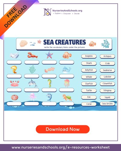 Photo post from nurseriesandschoolsorg.