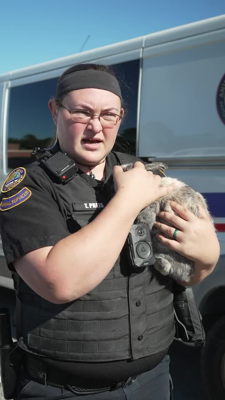 Video post from daytonabeachpolice.