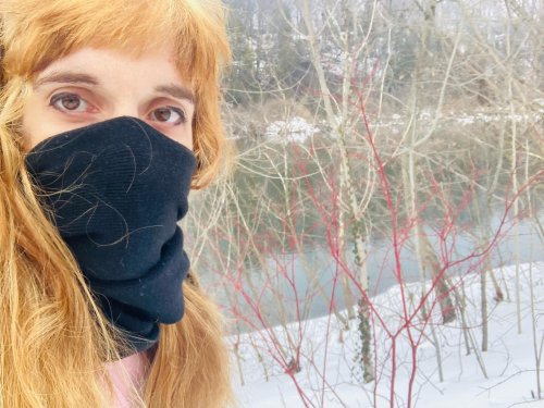 Carousel post from forestcitynativegardens.