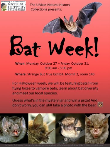 Photo post from umassnaturalhistorycollections.