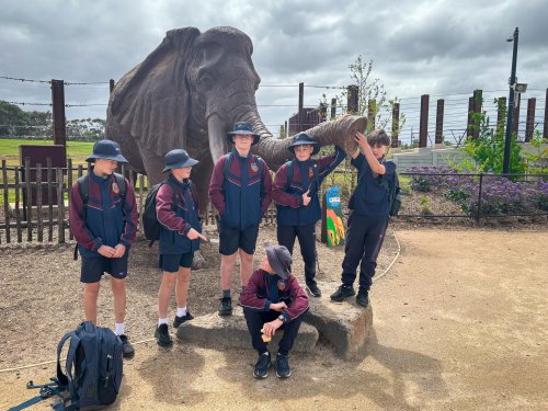 Carousel post from trinitycollegecolac.