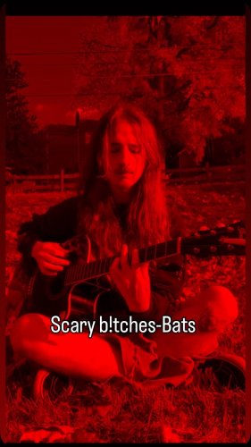 Video post from bat_freak13.