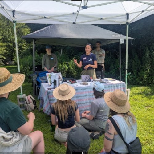 Carousel post from philippadunne.