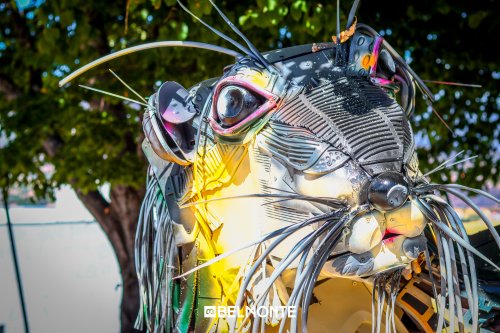 Photo post from visit.belmonte.