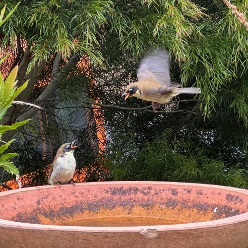 Photo post from lisa_cawthen.