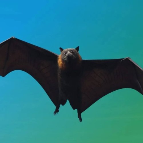 Photo post from eliannabthorne.