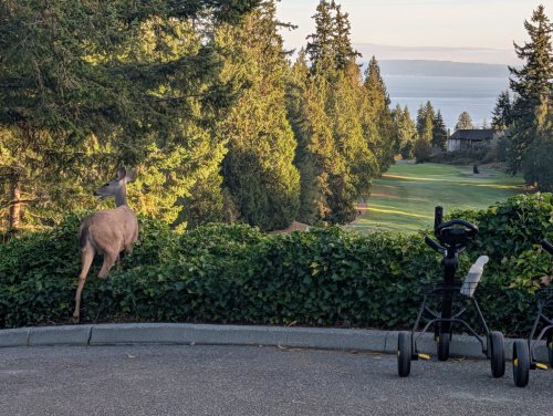 Photo post from theresortatportludlow.