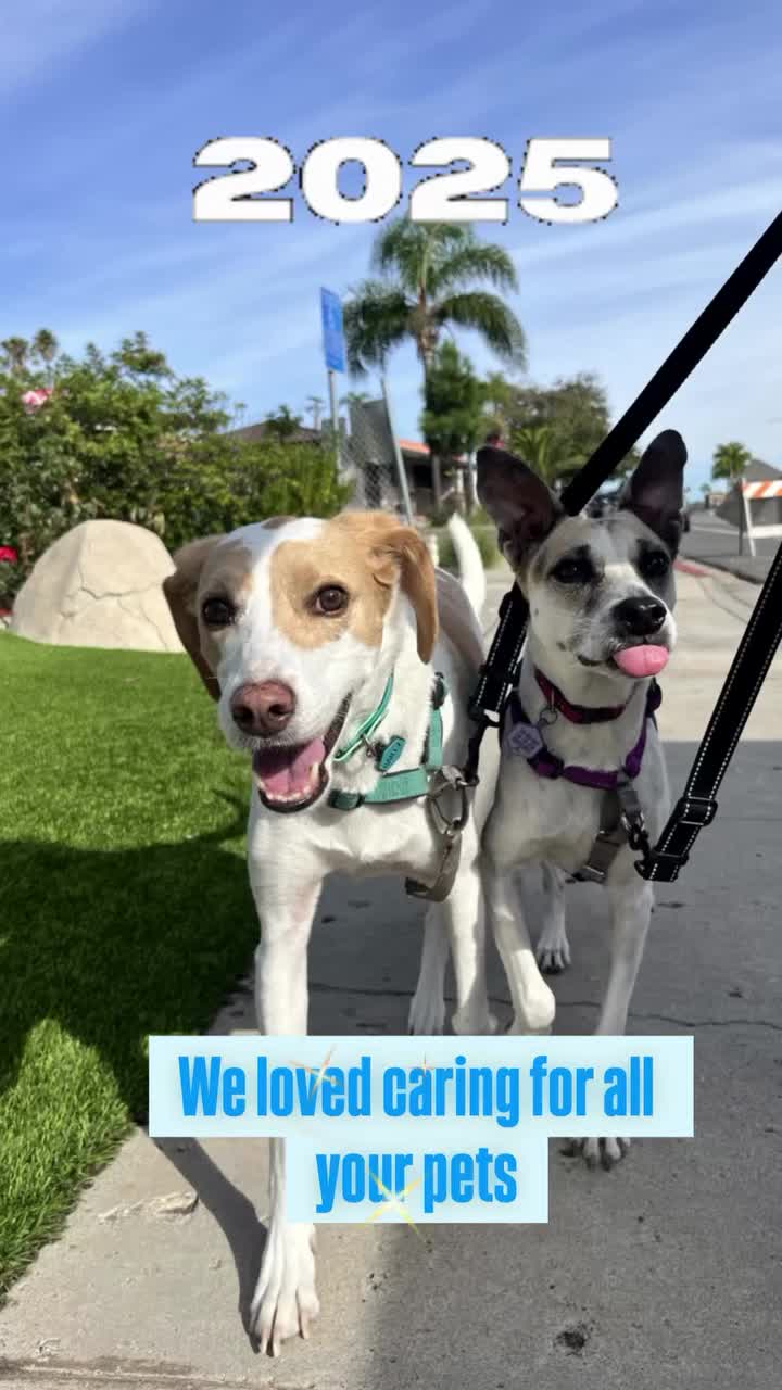 Video post from pawsplaysandiego.