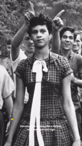 Video post from mixedchickshair.