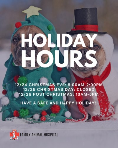 Photo post from familyanimalhospitalcm.