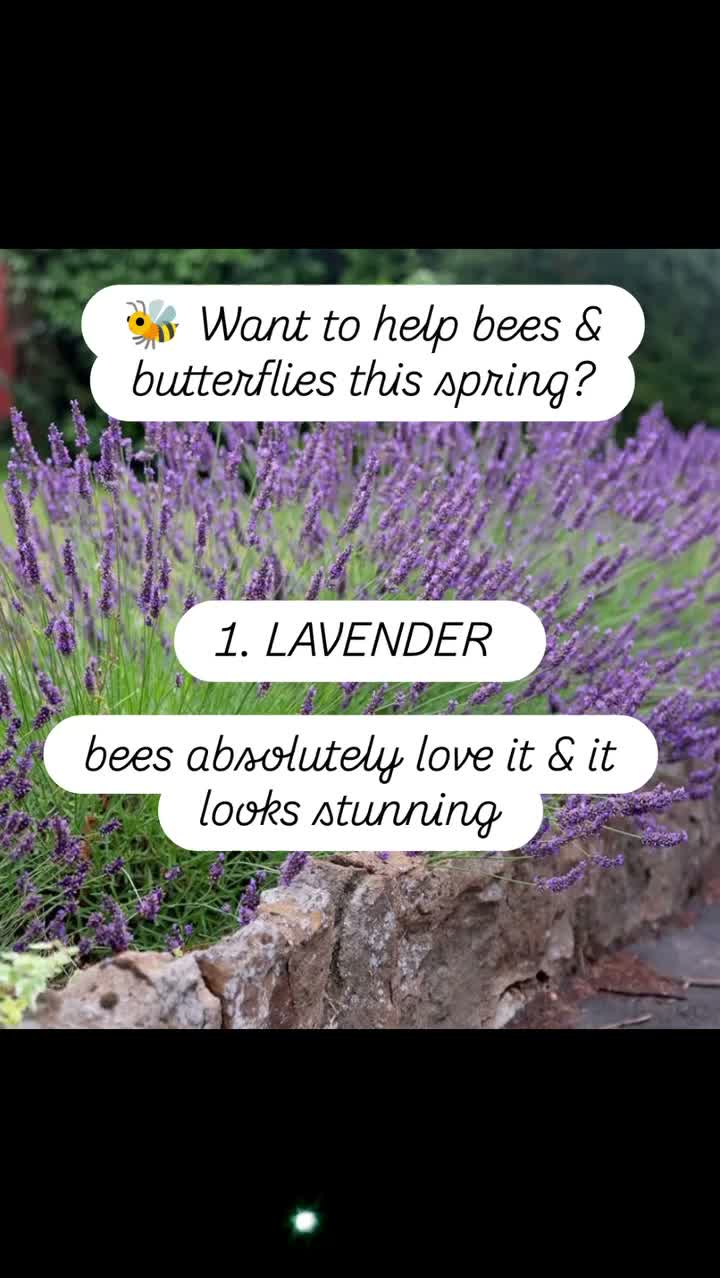 Video post from the.dreamden.studio.