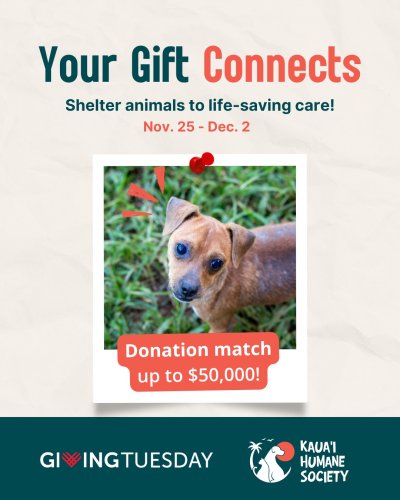 Photo post from hi95kauai.