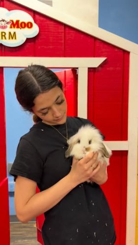 Video post from njexoticpets.