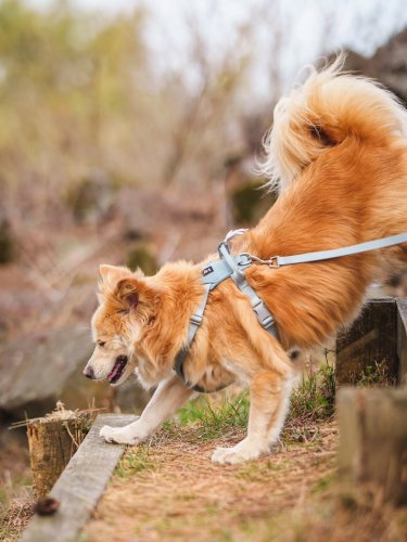 Carousel post from nakkandong.