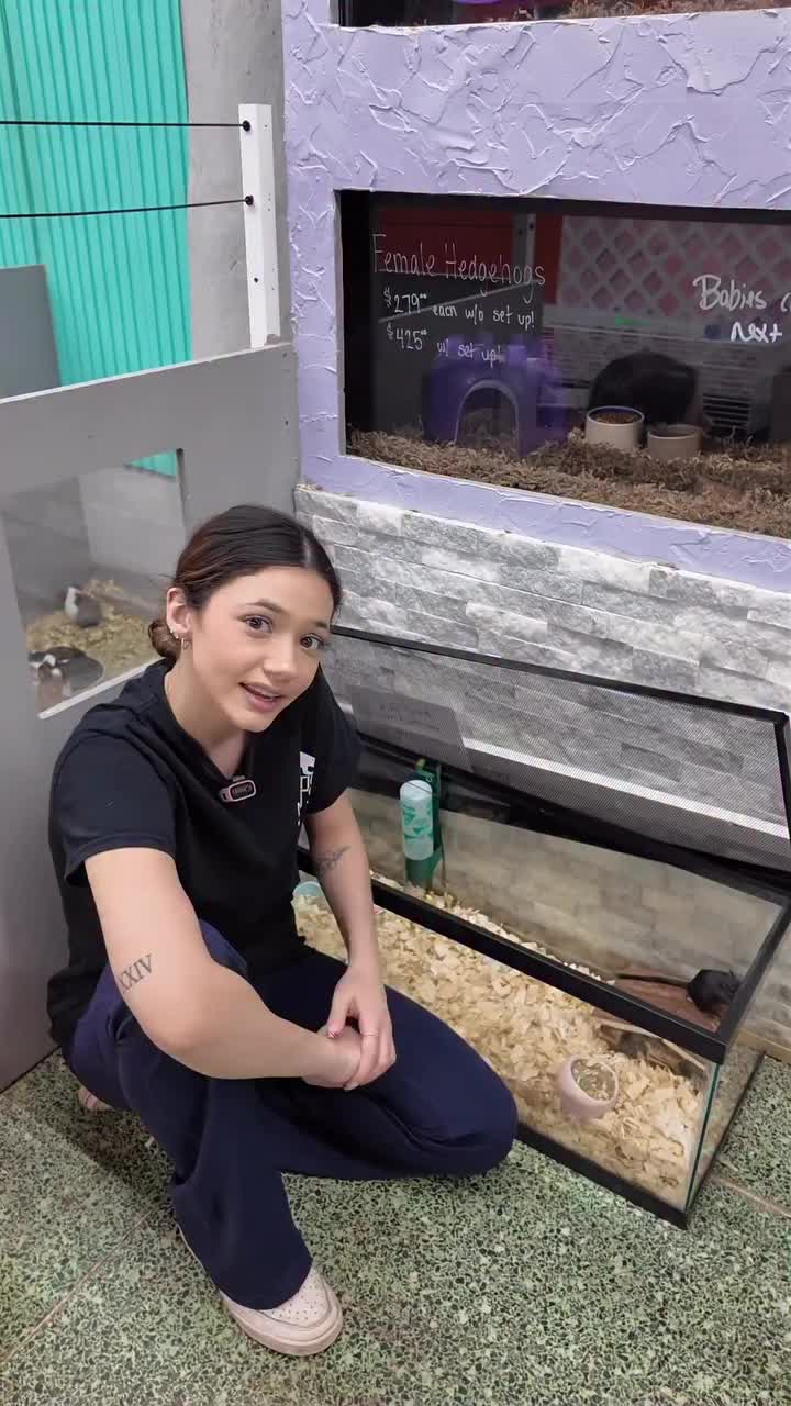 Video post from njexoticpets.