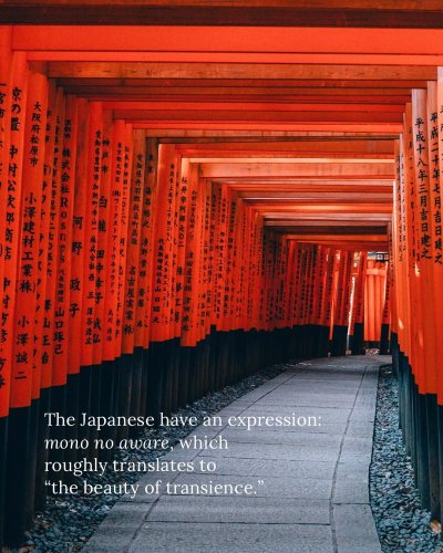 Carousel post from bluesky.escapes.