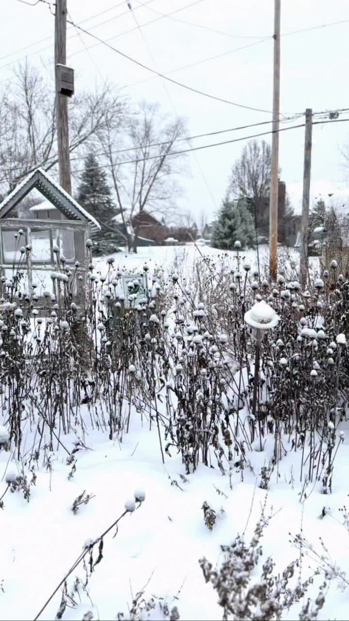 Video post from mylittlekatecod.