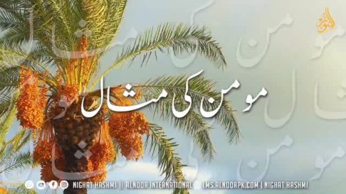 Video post from nighathashmi.