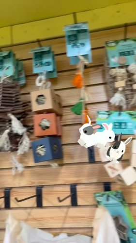 Video post from njexoticpets.