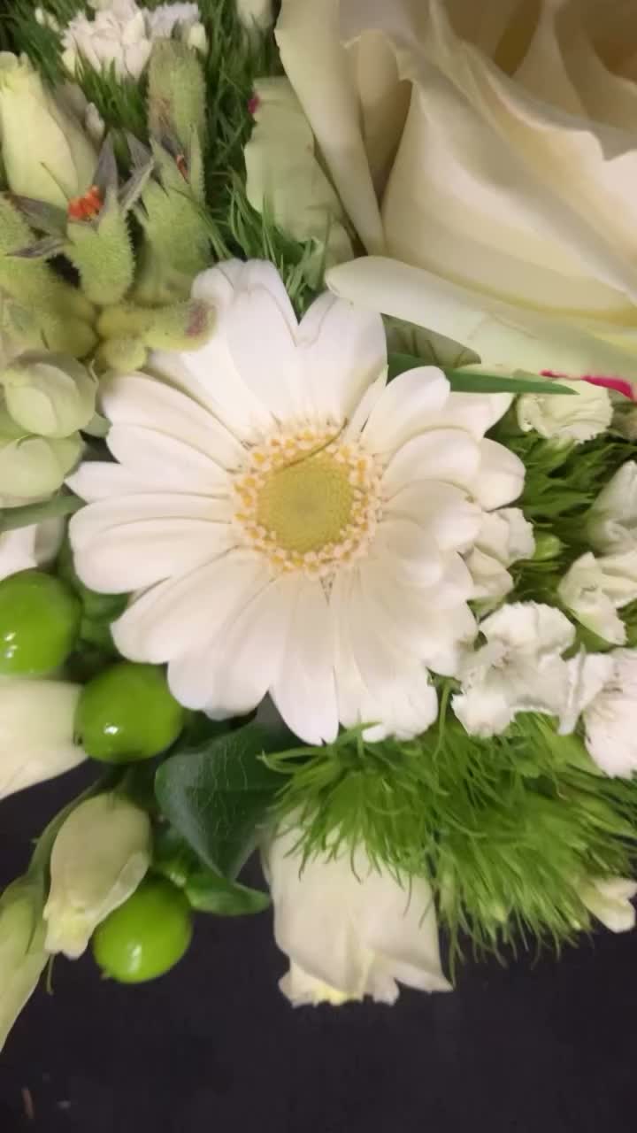 Latest photo