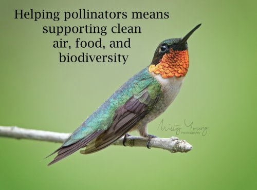 Photo post from mistyyoungphoto.