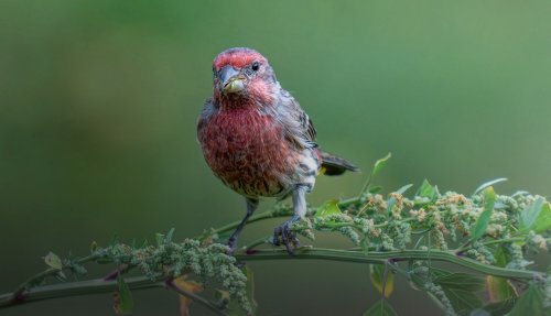 Photo post from susannlynn.