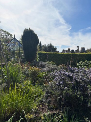 Photo post from gardenhousebrighton.
