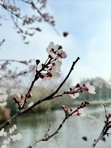 Photo post from hiking_photographer.