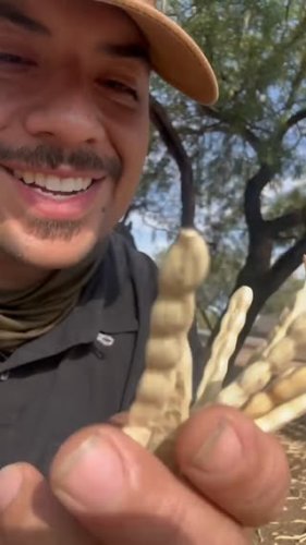 Video post from visittucson.