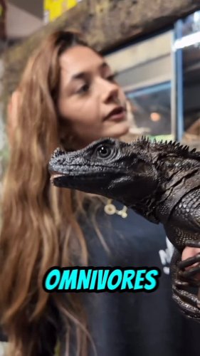 Video post from njexoticpets.