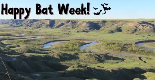 Video post from multisar_ab.